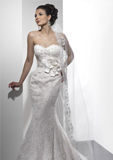 sotteromidgley-suzette